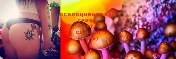 spice Алексеевка